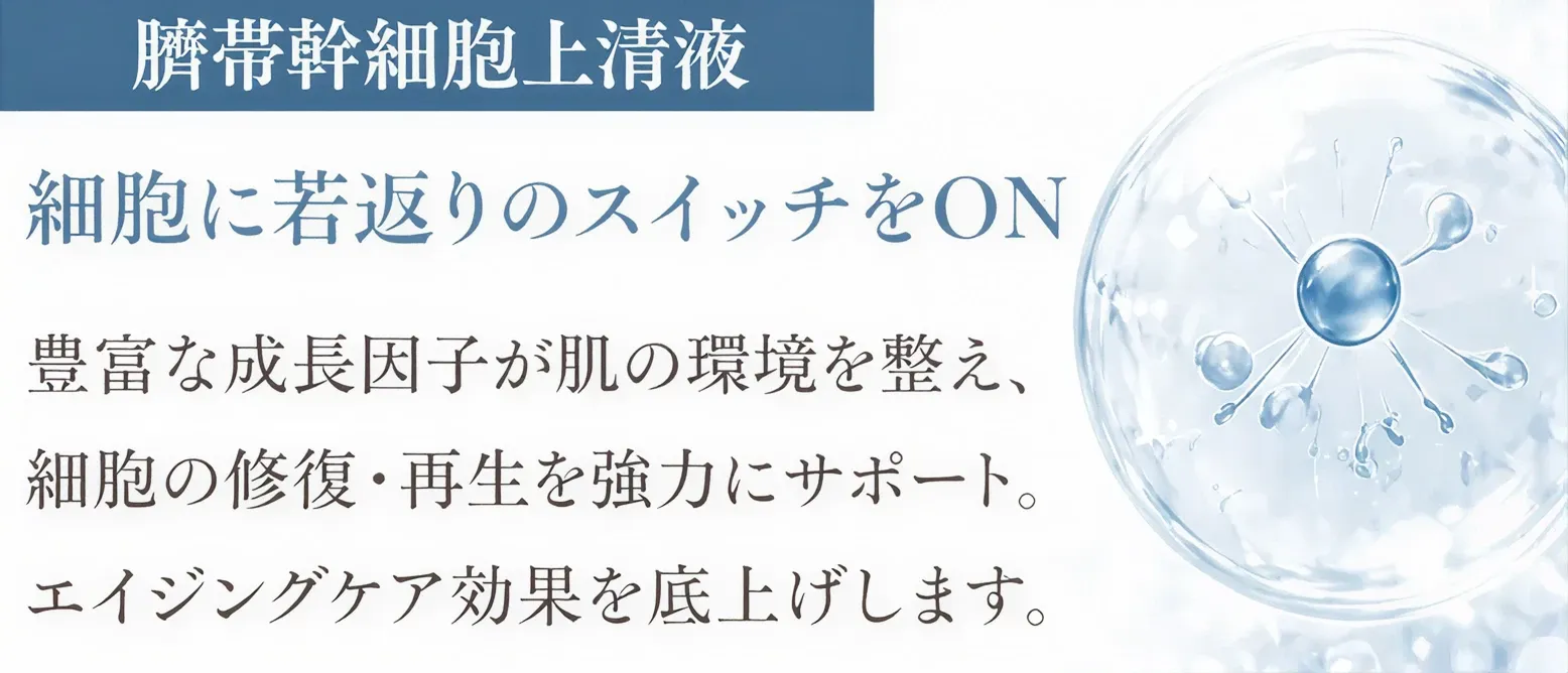 臍帯由来幹細胞培養上清液