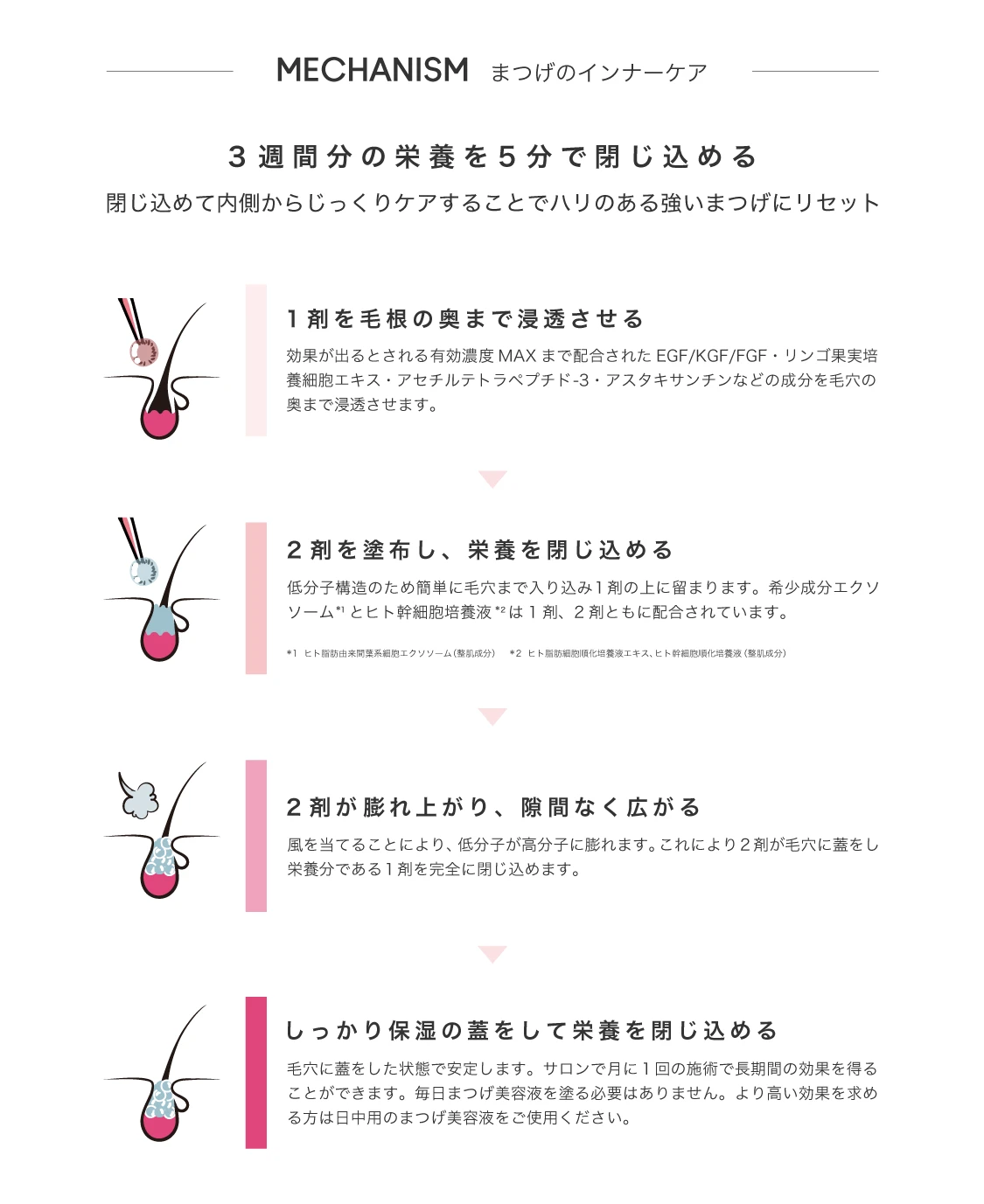 まつげ育毛トリートメント施術の流れ