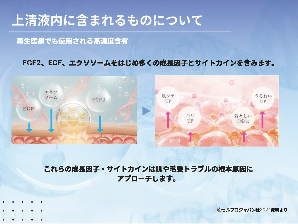 臍帯由来幹細胞培養上清液